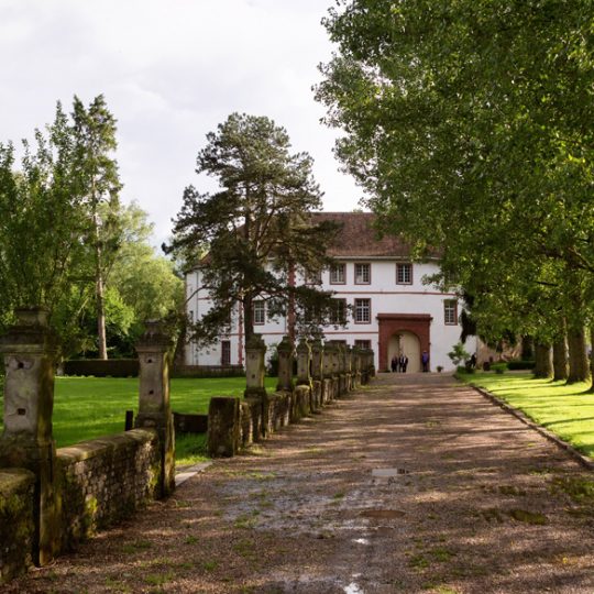 Accueil Chateau Saint Sixte